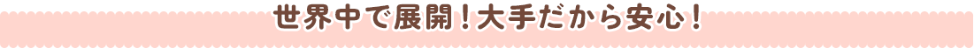世界中で展開！大手だから安心！